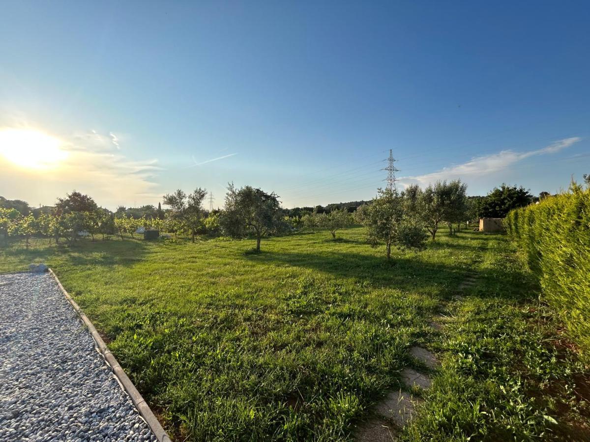 Dora House With Wifi And Outdoor Swimming Pool Villa พูลา ภายนอก รูปภาพ